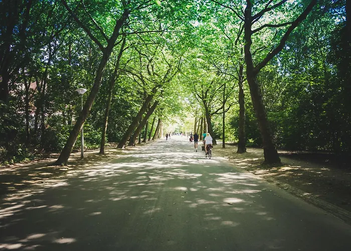 ベッド・アンド・ブレックファスト Museum Square View 4*