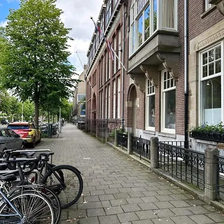 Museum Square View