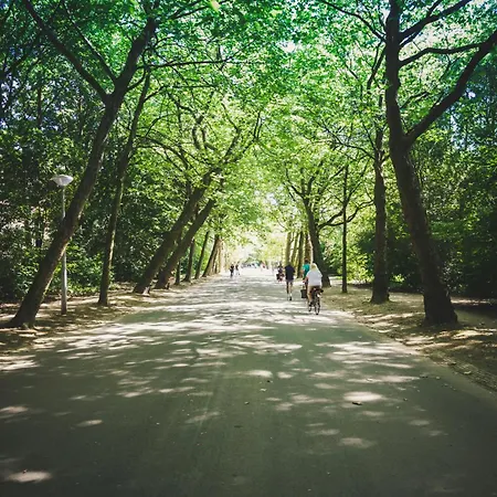 ベッド・アンド・ブレックファスト Museum Square View 4*